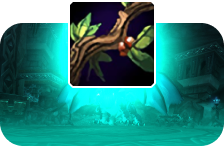 TWW Herbalism