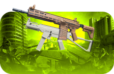 Ultimate Weapon Leveling Bundle