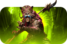 D4 Custom Builds