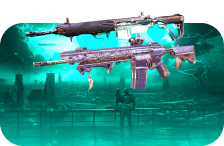 Raid Exotics Bundle