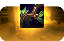 Classic Era Herbalism Skill