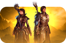 D4 Platinum Pack VoH
